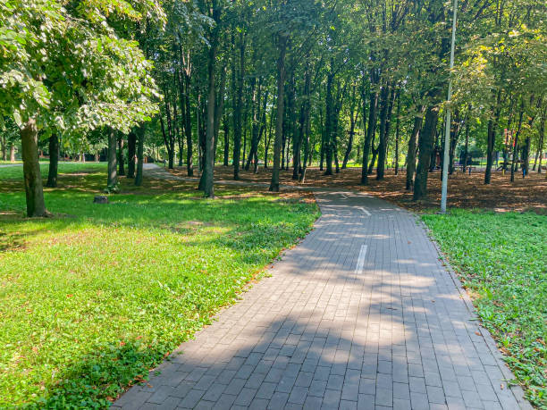 istock A peaceful park scene with a meandering brick pathway, lush grass, mature trees, a solitary bench, clear blue sky, and a grove of leafless or different species trees 2204522010