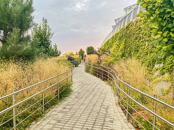 istock Image of a stone-paved pathway bordered by lush greenery and flowering plants, with a partly cloudy sky above, suggesting either dawn or dusk The composition invites viewers to imagine walking along 2204523073