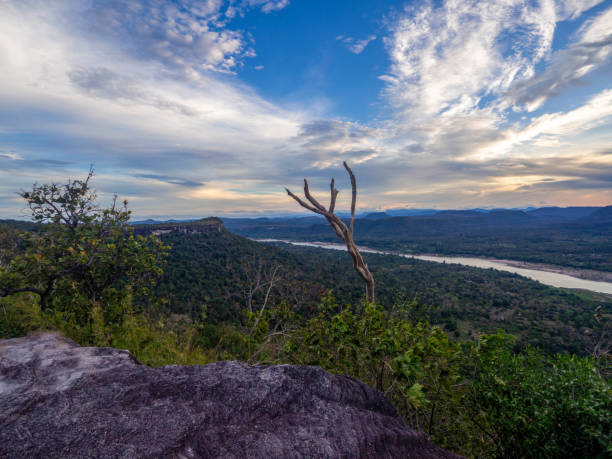 istock The beautiful sky and dead tree with river separator between land. 2204526128