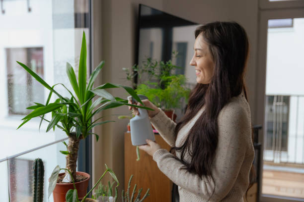 istock Woman Spraying Indoor Plants with Water 2204526190