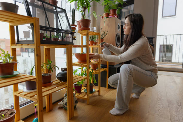 istock Woman Spraying Indoor Plants with Water 2204526209