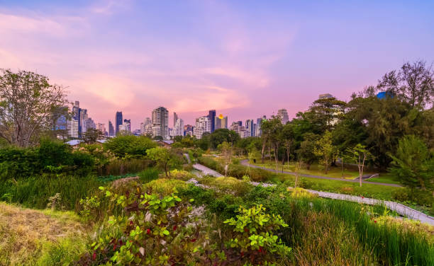 istock Benjakitti park in Bangkok city 2204526229