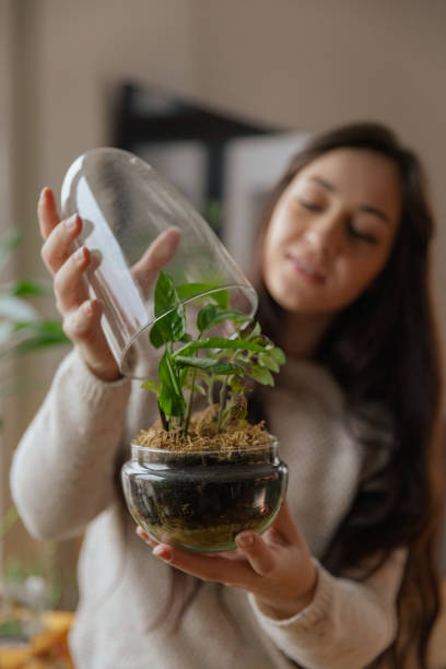 istock Young Woman Admiring a Small Terrarium in a Cozy Indoor Setting 2204526567