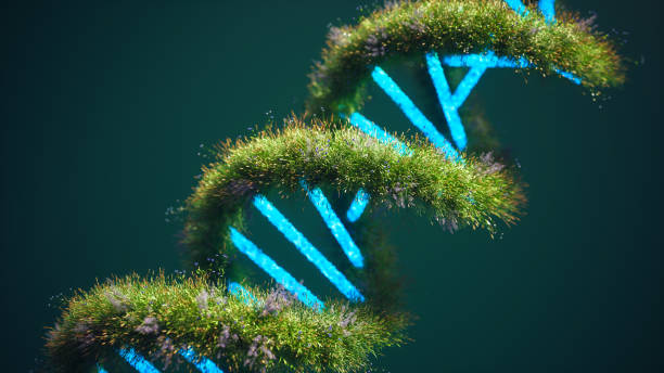 istock Biotech Concept with DNA Strand Covered in Lush Green Plants 2204528188
