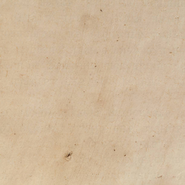 istock Close-up of aged paper with subtle texture 2204529337