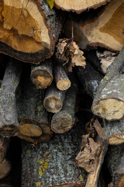 istock firewood stacked for heat resource problem energy crisis europe 2204535395