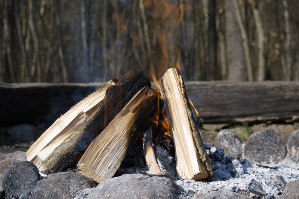 A crackling campfire burns brightly with flames, set against a backdrop of woods, creating a cozy, rustic ambiance.