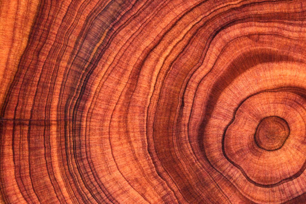 istock Wood plank to use as background and texture. 2204536132