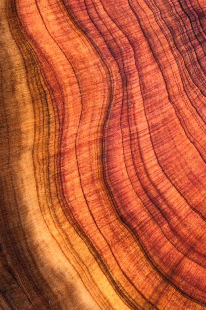 istock Wood plank to use as background and texture. 2204536196