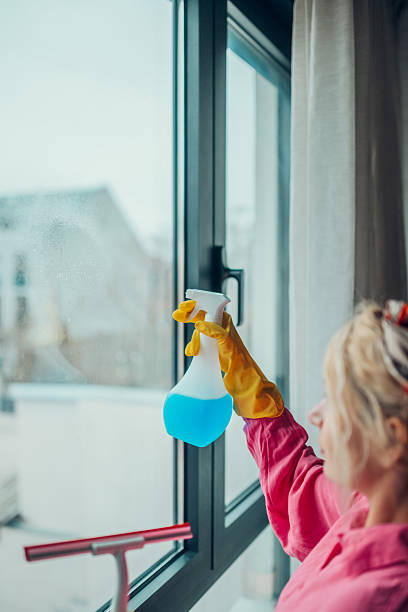 istock Woman cleaning window with spray bottle and squeegee 2204537896