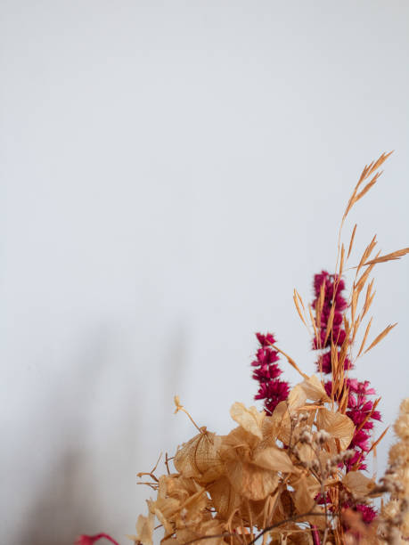 istock Frame of dried flowers. Image copy space. 2204538065