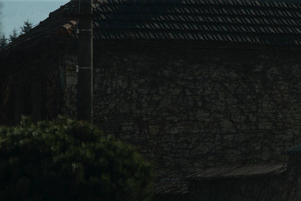 In the background, there is a sturdy stone wall topped with a roof, while in the foreground, you can see several trees providing a natural frame
