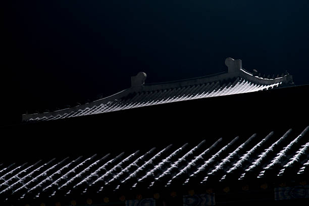 istock tiled roof covered with snow in the night 2204543659