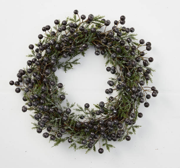 istock wreath blueberry isolated nature background with clipping path 2204544240