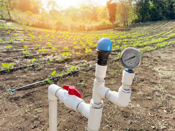 Water piping agriculture irrigation theme