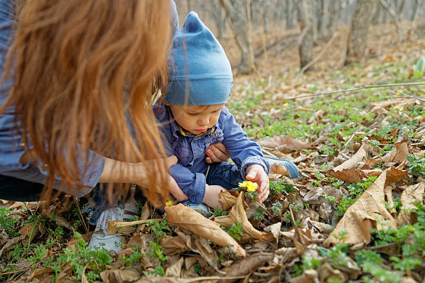 A mother and her young son walk through a forest at the end of a spring day, where the boy kneels to examine small wildflowers emerging among last autumn's fallen leaves, showcasing curiosity and connection with nature.