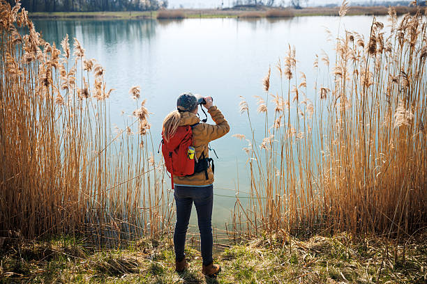 istock Birdwatching and wildlife observation in nature 2204555987