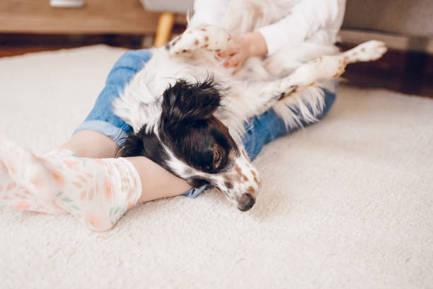 istock Happy dog enjoy in cuddling 2204559271