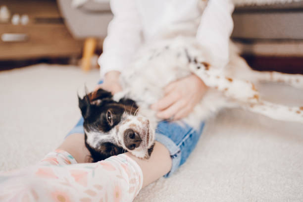 istock Happy dog enjoy in cuddling 2204559289