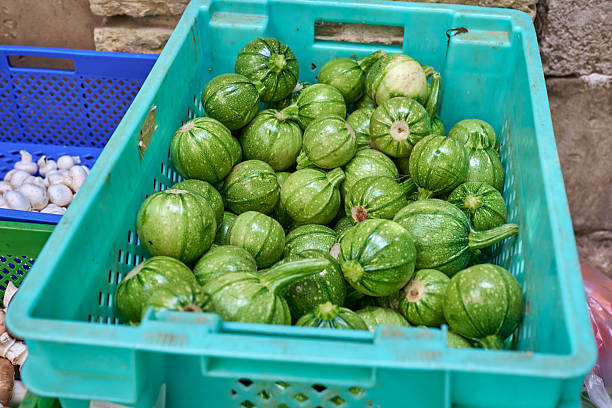 Fresh zucchini in a basket
