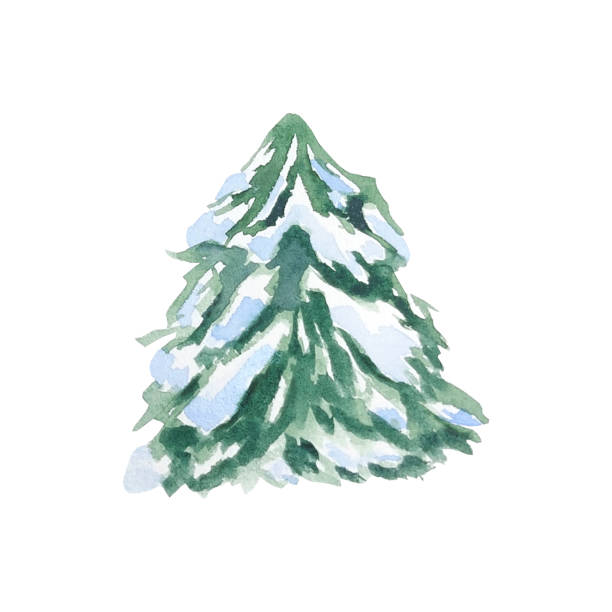 istock Fir tree and pine tree in snow watercolor illustration hand drawn. Nature in the forest, snow-covered spruce. Isolated illustration for creating winter landscape, posters, scenes, postcards. Christmas 2204563445
