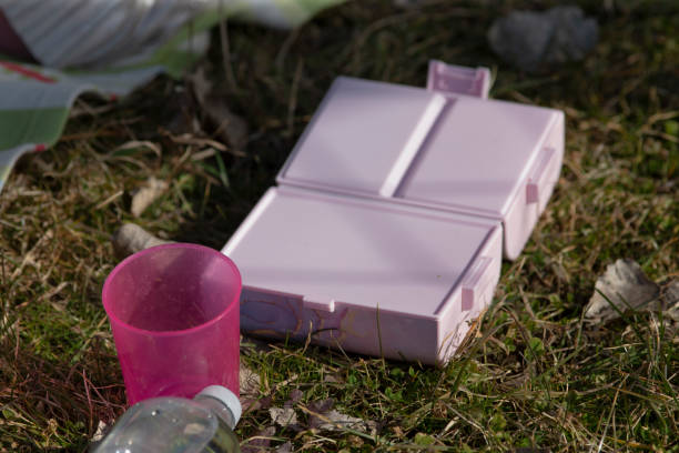 A pink box and a pink cup are currently placed on the grass area