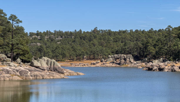 istock Serene Lake with Pine Forest and Rocks 2204564544