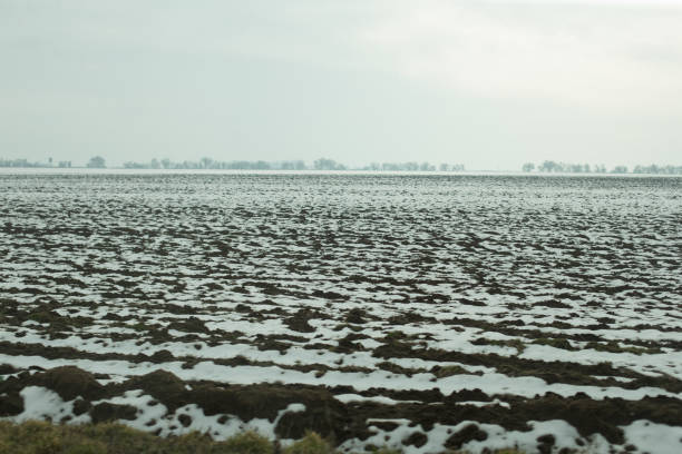 The agricultural landscape showcases a scene characterized by plowed earth which is partially blanketed in snow, all set beneath a dramatically overcast sky, creating a unique winter vista
