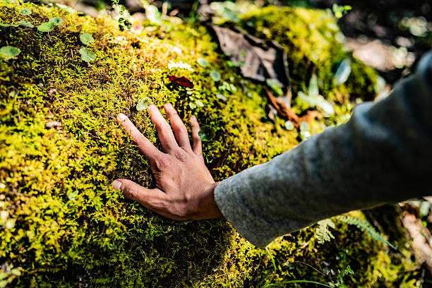 Close-up of a man with hand on moss