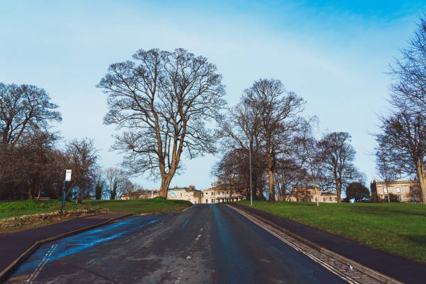 Scenic view of an empty road leading up to brandon hill park in bristol, england, featuring bare trees and a clear blue sky