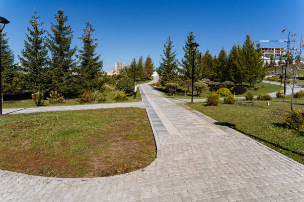 istock There exists a serene and beautiful path in a park that is bordered by lush trees on both sides, creating a peaceful and inviting atmosphere for visitors to enjoy their walk 2204573211
