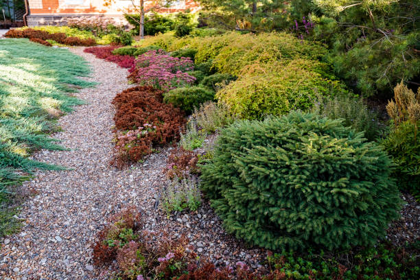 istock In a serene garden, there exists a beautiful gravel path that winds through an array of lush trees and vibrant bushes, creating a picturesque natural landscape filled with greenery 2204573235