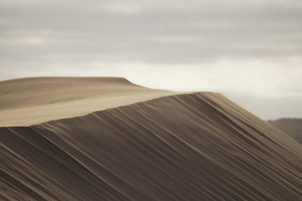 Close up of sand dunes under gray cloudy sky