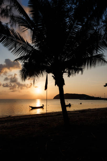 istock Serene tropical beach scene during a beautiful sunset with a silhouetted palm tree 2204578960