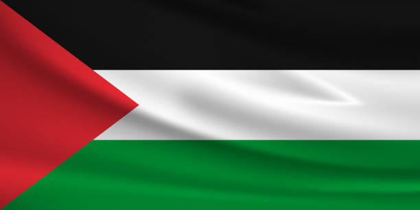 istock Vector flag of Palestine. Palestine waving flag background. 2204579903