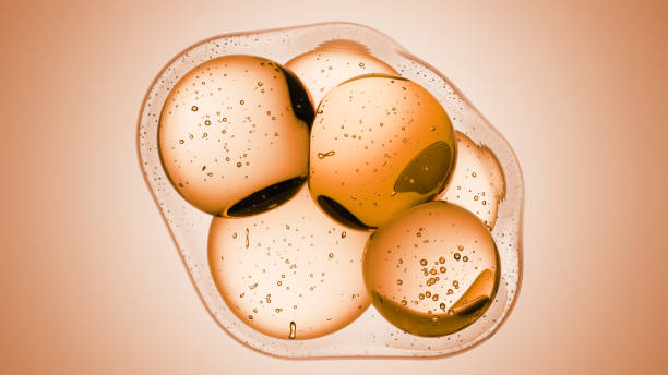 istock Cosmetics beige serum liquid bubbles 3d abstract background. Cosmetic moisturizer essence gel. Collagen fluid bubble molecule. Moisturizing cream or oil, beauty skin concept 2204579949
