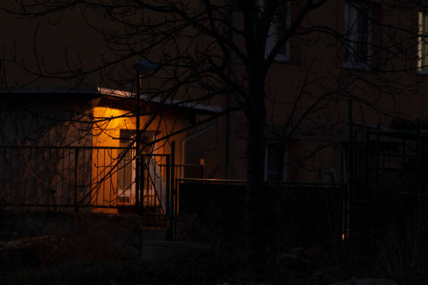 At night, a cozy house is beautifully illuminated, and in the foreground stands a tree, enhancing the scenes charm and atmosphere