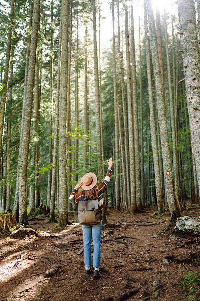 istock A young tourist with a hiking backpack walks along a hiking path in a mountain forest. 2204582683