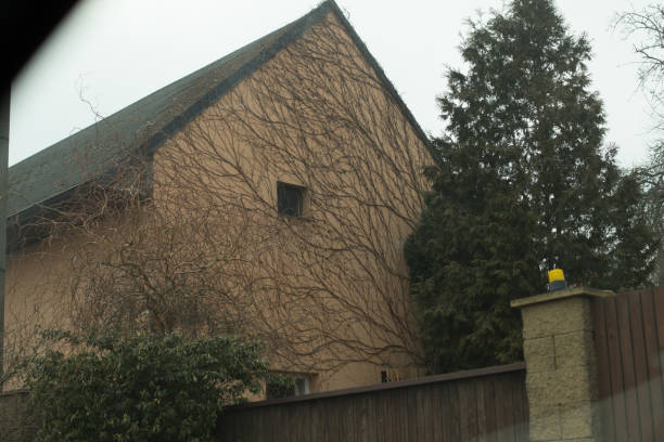 istock A Beautiful IvyCovered House with Lush Greenery in the Background 2204585357