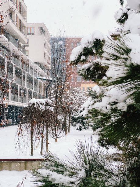 istock Snow gently falling on urban park, blanketing pine trees and bare deciduous branches, while modern residential buildings rise in background, creating serene winter scene. snowfall covering urban park 2204592456