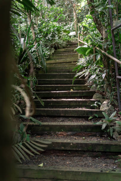 istock Lush Garden Stairway 2204596503