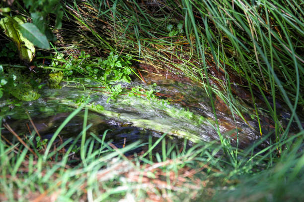Natural hot spring