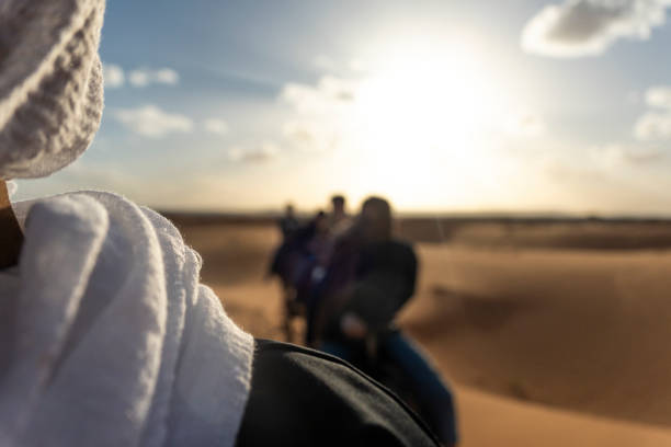 istock camels in the Sahara Desert 2204604222