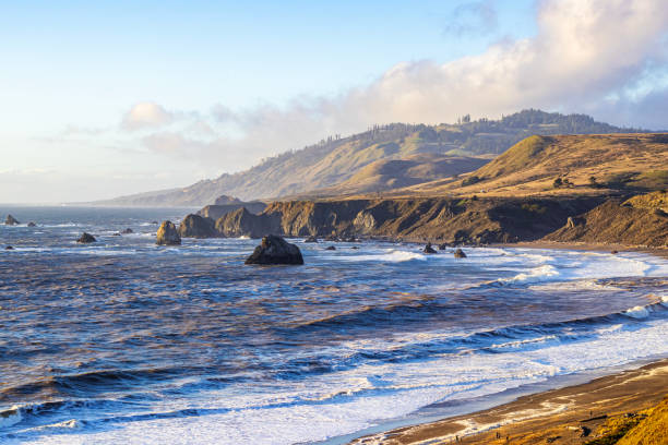 istock Goat Rock State Beach in Jenner, California 2204605626