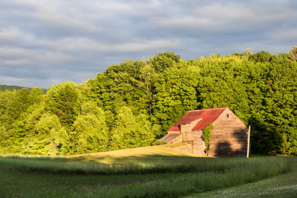 Old wooden barn at sunset with dark sky and storm clouds. Late summer.