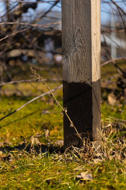 istock A Textured Wooden Post with Dark Lower Part Surrounded by Grass and Dry Plants in a Sunny Winter Landscape 2204610656