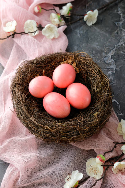 istock Pink Easter eggs nestled in a bird's nest with spring cherry blossoms and a pink fabric on textured stone background. 2204611687