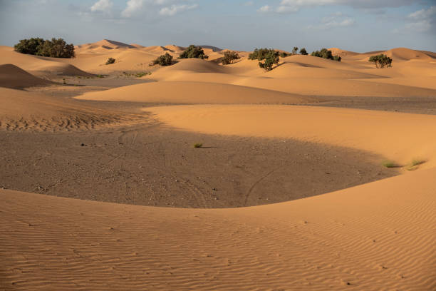 istock the Sahara Desert in Morocco 2204612976