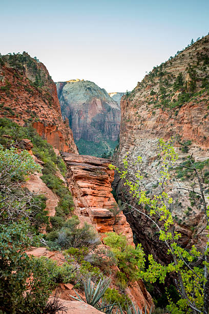 istock Sandstone cliffs in Zion National Park, Utah 2204616131