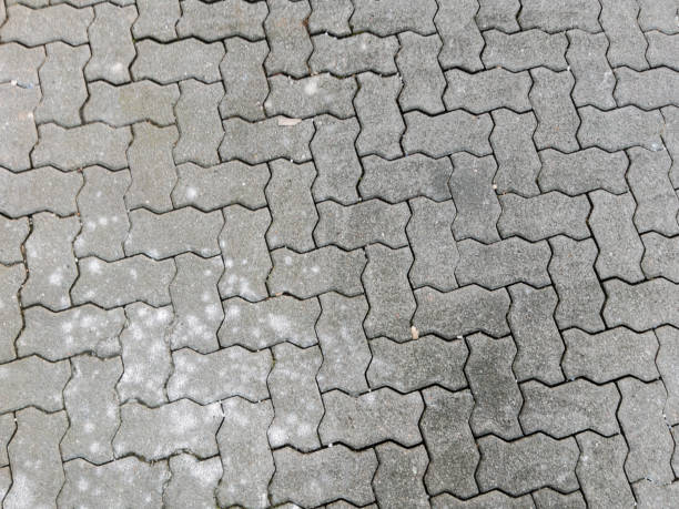 istock Patterned Gray Paving Stones on Urban Sidewalk 2204621029